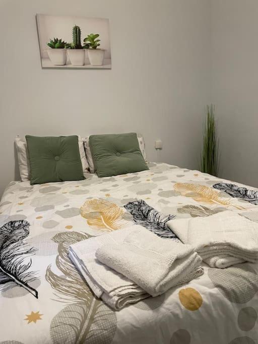Cosy T3 Proche Gare Et Polygone Apartment Beziers Ngoại thất bức ảnh