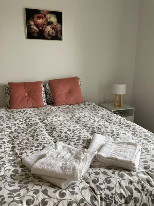Cosy T3 Proche Gare Et Polygone Apartment Beziers Ngoại thất bức ảnh